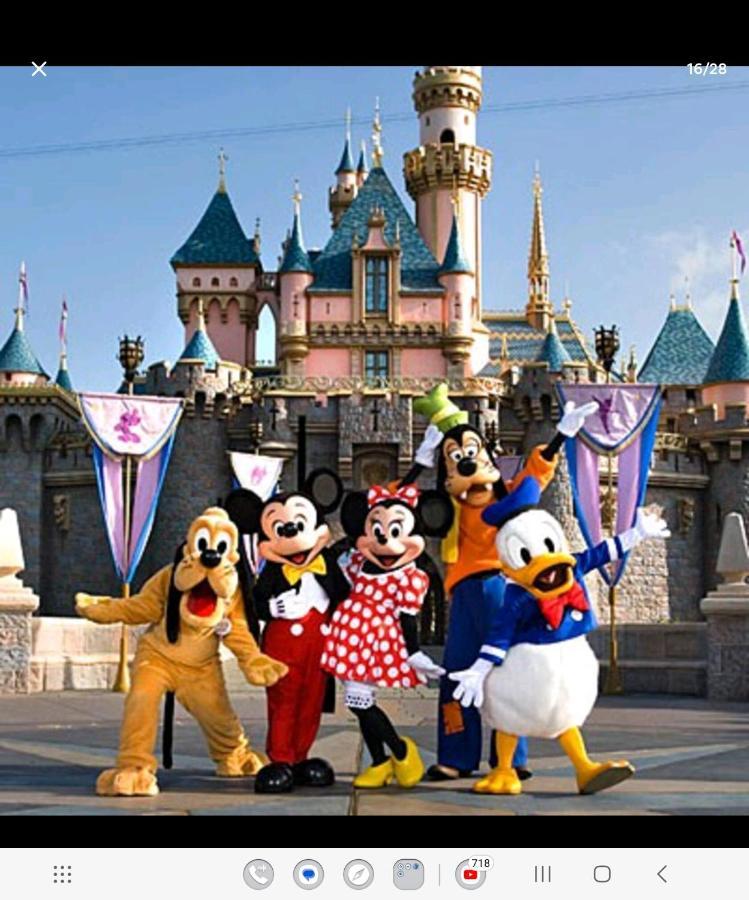 Jungle House Avec Jacuzzi A 10 Min De Disneyland -Taille Chambre- Conde-Sainte-Libiaire Esterno foto